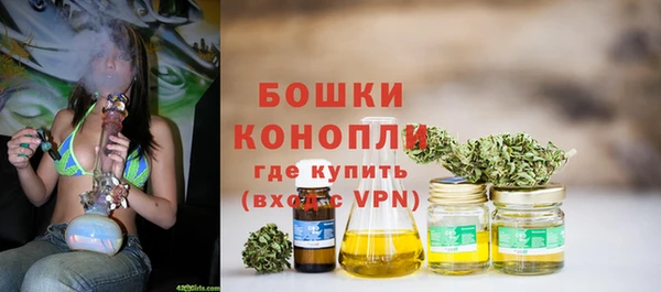 PSILOCYBIN Нефтегорск