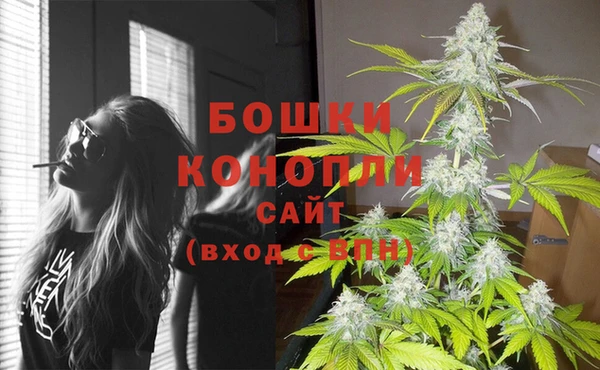 PSILOCYBIN Нефтегорск