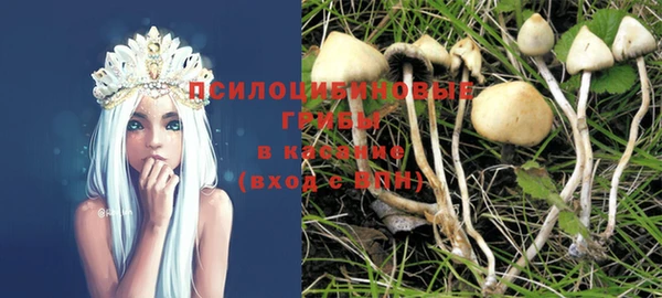 PSILOCYBIN Нефтегорск