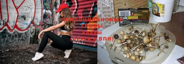 MESCALINE Нефтекумск