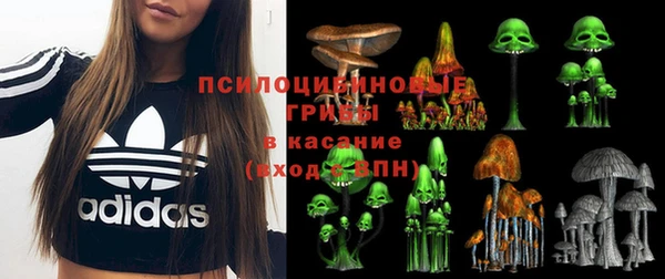 прущая мука Нея