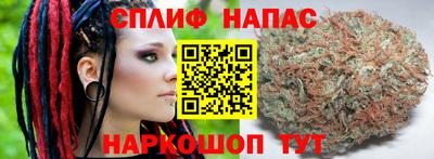 гидропоника Апшеронск
