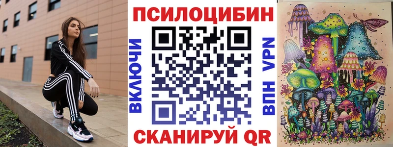 Галлюциногенные грибы Psilocybine cubensis  Богородск 