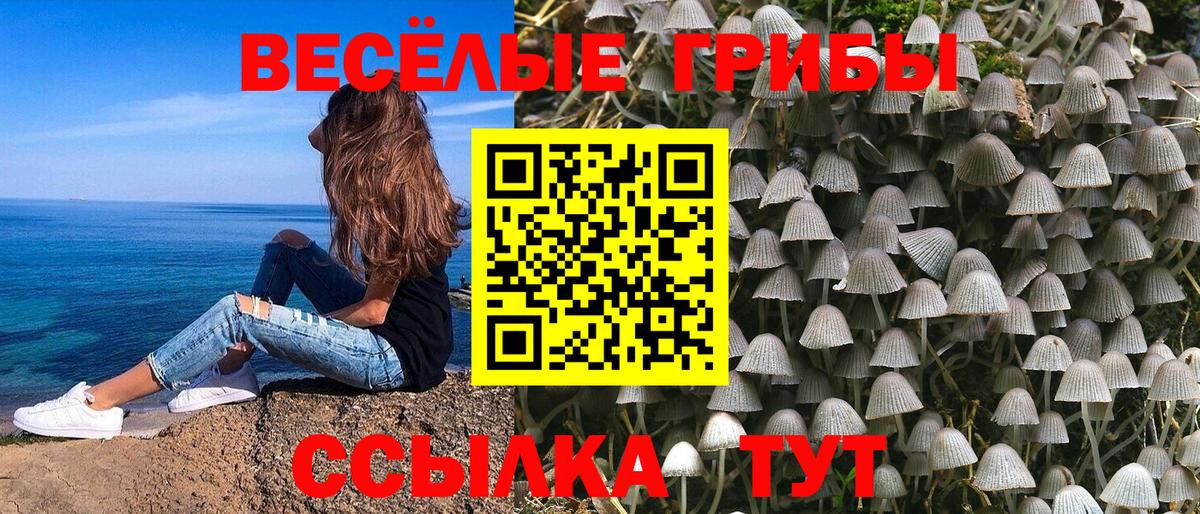 Богородск  Галлюциногенные грибы ЛСД  Вход с VPN 