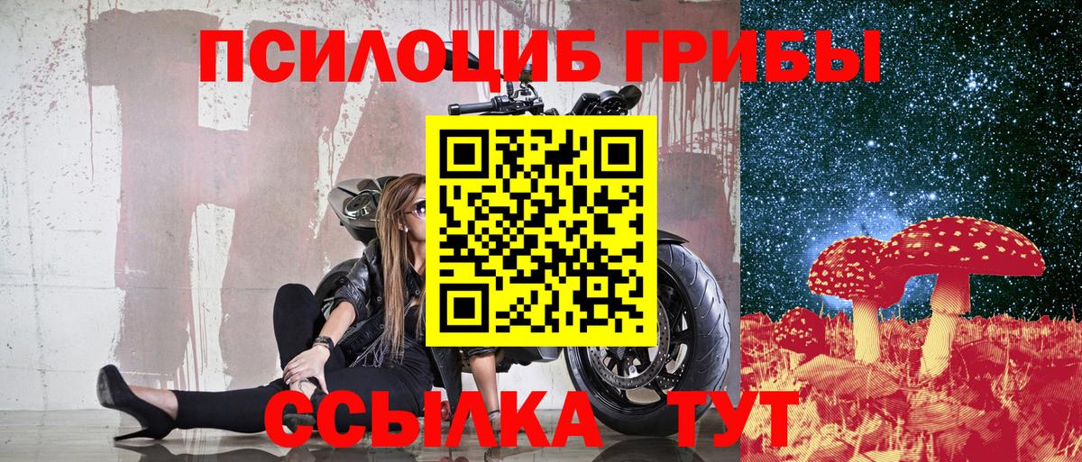 Галлюциногенные грибы Cubensis Богородск